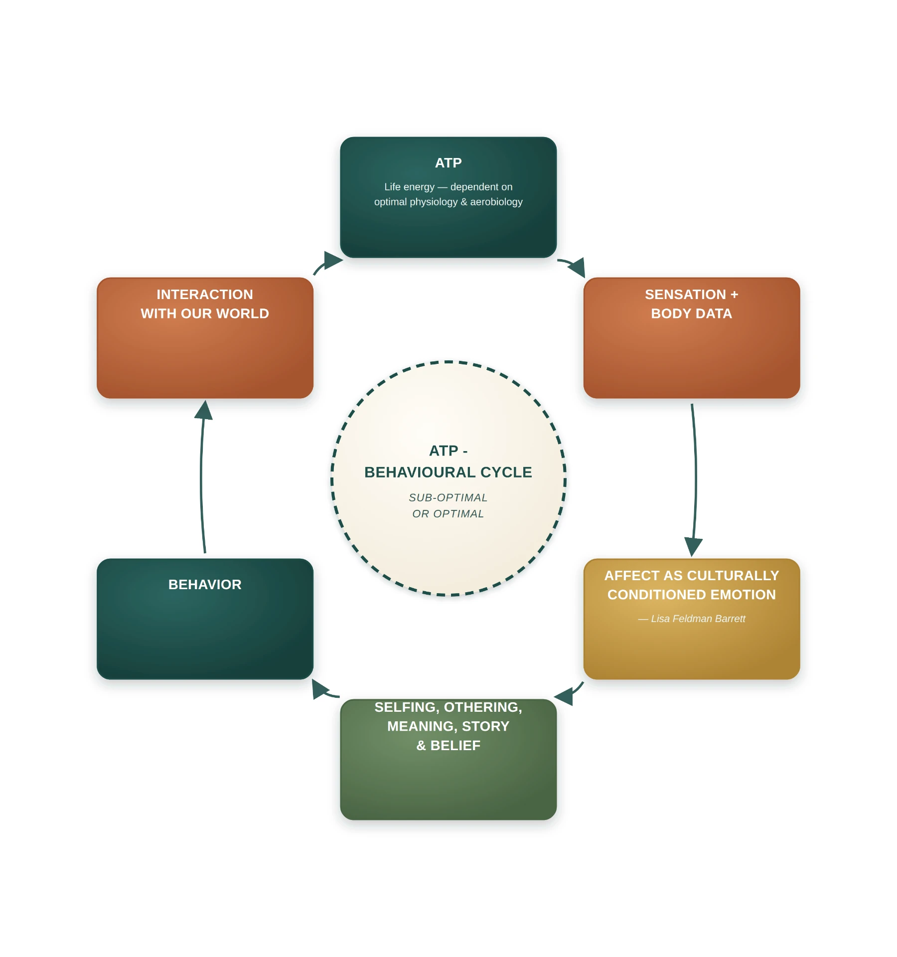 The ATP behavioural cycle: ATP, sensation and body data, affect, selfing and meaning, behaviour, and interaction with our world
