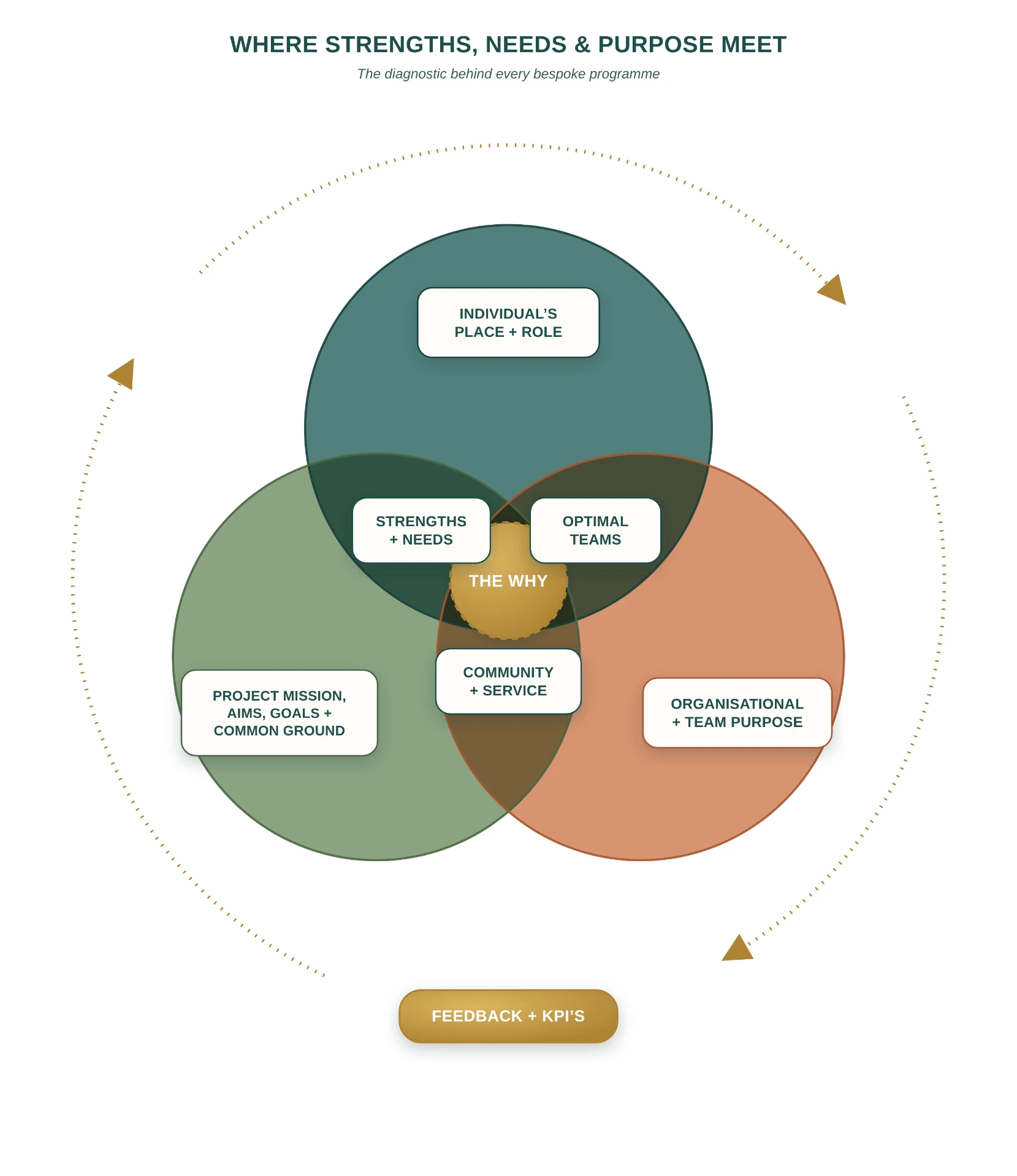 Venn diagram: an individual's place and role, project mission and common ground, and organisational and team purpose overlapping at The Why, ringed by feedback and KPIs